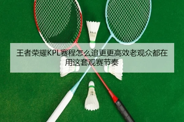 王者荣耀KPL赛程怎么追更更高效老观众都在用这套观赛节奏